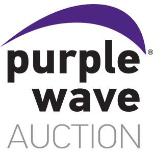 Purple Wave, Inc. company logo