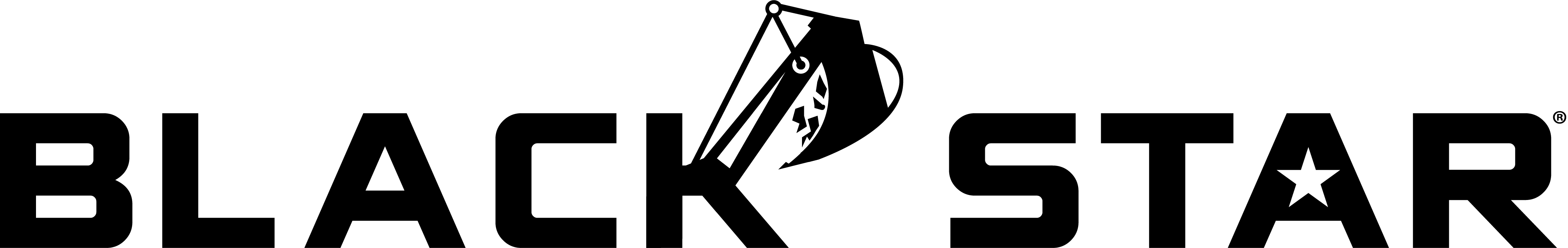 Black Star Auctions company logo
